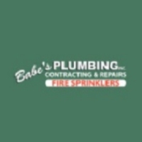Local Business Babe's Plumbing, Inc. & Fire Sprinklers in Nokomis 