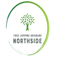Tree Lopping Brisbane Northside