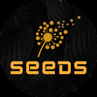 Seeds Digital Marketing Agency