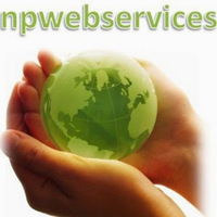 Npwebservices Ltd