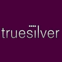 Truesilver WEB SOCIAL MARKETING