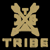 Tribe Interactive