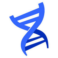 Website DNA