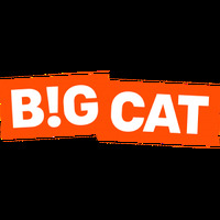 Big Cat Limited