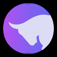 The Branding Bull Digital Marketing Agency