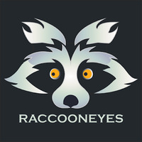 Digital Marketing Agency - Raccoon Eyes