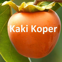 Kaki Koper