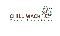 Local Business Chilliwack Tree Services in Chilliwack BC