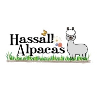 Local Business Hassall Alpacas in Sandbach England