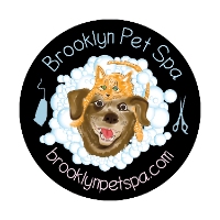 Local Business Brooklyn Pet Spa, Pet Grooming in Brooklyn 