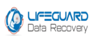 Local Business LifeGuard Data Recovery in Bur Dubai – Dubai 