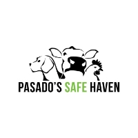 Local Business Pasado’s Safe Haven in Sultan 