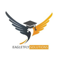 eagletflysolutions