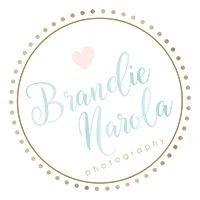 Local Business Brandie Narola Photography in Burlington ON