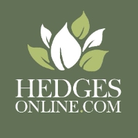 Local Business Hedges Online in Tilford England