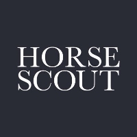 Local Business Horse Scout in Christchurch England