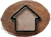 Local Business Coconut Contracting in Phoenix 
