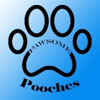 Local Business Pawsome Pooches Ltd in Blackpool 