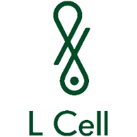 L Cell Longevity