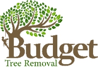 Budget Tree Removal | Tree Shaping Services in Brisbane