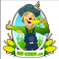 Local Business Mr Corn BBQ Catering & Food Truck Co in  