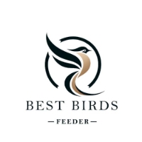 Best Birds Feeder