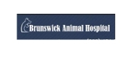 Local Business Brunswick Animal Hospital in Normal 