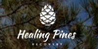 Local Business Healing Pines Recovery in Elizabeth 