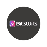 Local Business BitsWits in Houston 
