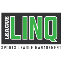 Local Business League Linq in Asheville 