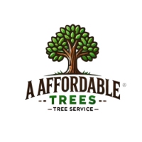 Local Business A Affordable Tree Services in Daytona Beach 