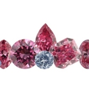Local Business Pink Diamond Investments in Cooks Hill NSW