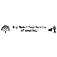 Top Notch Tree Service of Westfield