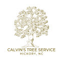 Local Business Calvin's Hickory Tree Service in Hickory NC