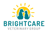 Local Business BrightCare Animal Neurology and Imaging in Mission Viejo CA