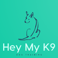My Canine Dog Training