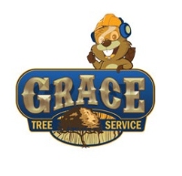 Grace Tree Service - Kokomo Indiana