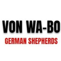 Von Wa-Bo German Shepherds