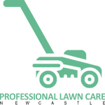 Professional Lawn Care Newcastle