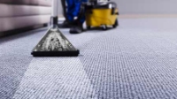 Local Business Carpet Cleaning Mount Waverley in Mount Waverley VIC