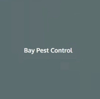 Local Business Bay pest control in Carnforth England