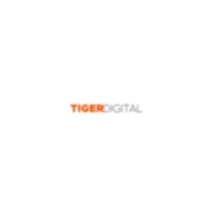 Local Business Tiger Digital Web Design in Wallington England