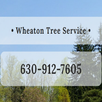 Local Business Wheaton Tree Removal in Wheaton IL