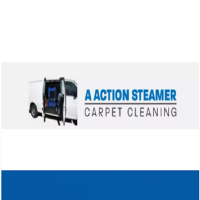 A Action Steamer carpet cleaning