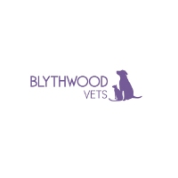Local Business Blythwood Vets in Stanmore England