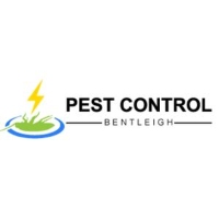 Pest Control Bentleigh East