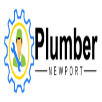 Local Business Plumber Newport in Newport QLD