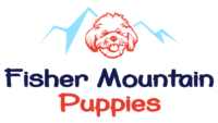 Local Business Fisher Mountain Puppies in Fayetteville AR