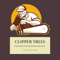 Local Business Clipper Tree Service of Orland Park in Orland Park IL
