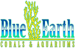 Local Business Blue Earth Corals & Aquariums in Lake Worth FL
